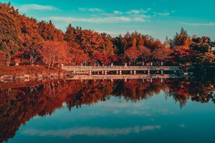 日本紅葉2022 日本旅遊賞楓懶人包 拍拖景點 紅葉打卡攻略